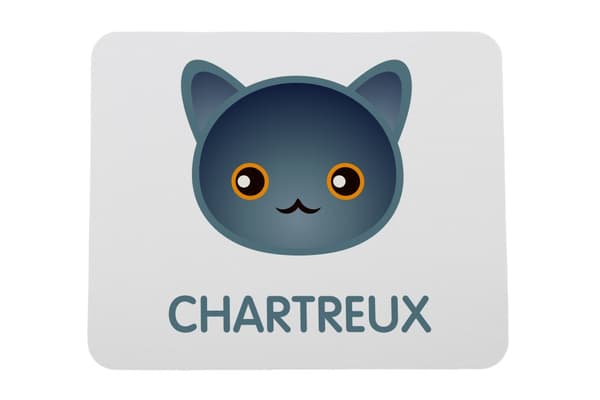 Chartreux - musen vadderar av Art-Dog