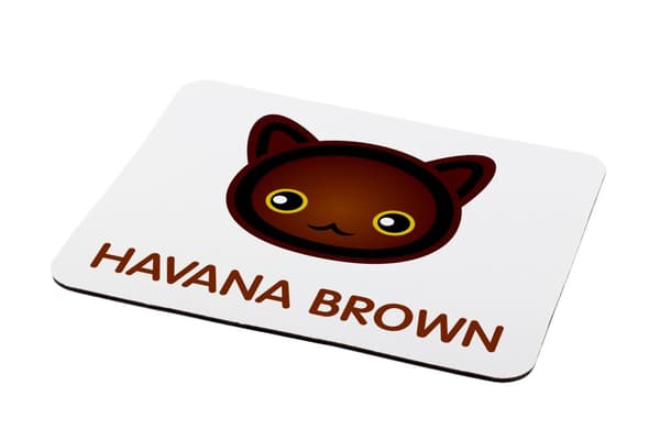 Havana Brown - musen vadderar av Art-Dog