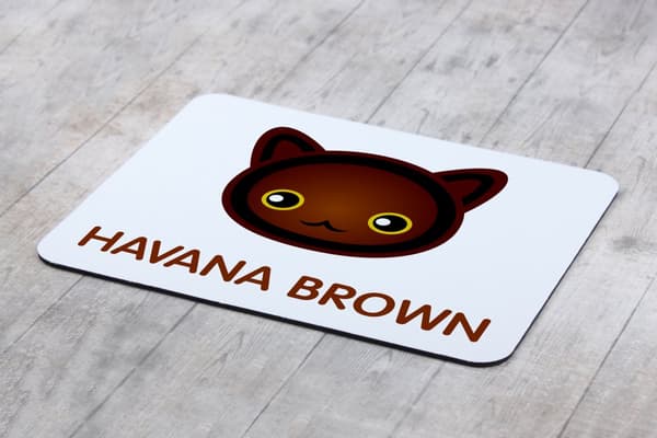 Havana Brown - musen vadderar av Art-Dog