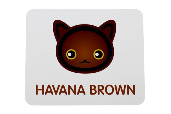 Havana Brown - musen vadderar av Art-Dog
