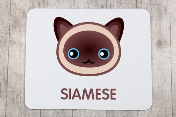 Siamese - musmatta av Art-Dog
