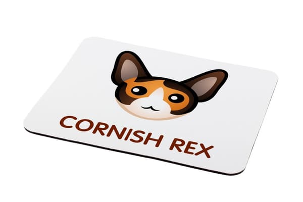 Cornish Rex - musen vadderar vid Art-Dog