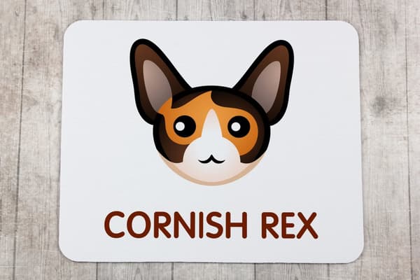 Cornish Rex - musen vadderar vid Art-Dog