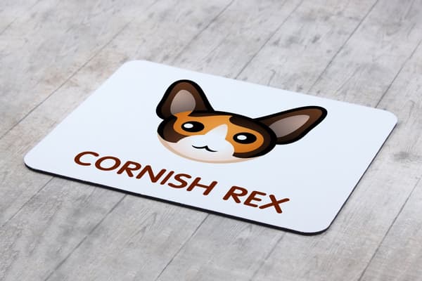 Cornish Rex - musen vadderar vid Art-Dog