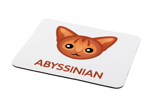 Abessinian - hiirimatto Art-Dogilta