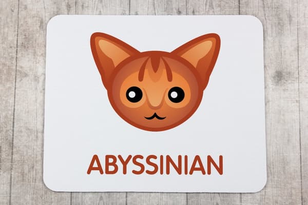 Abessinian - hiirimatto Art-Dogilta