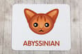 Pikkukuva 4 / 5: Abessinian - hiirimatto Art-Dogilta