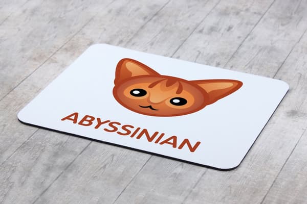 Abessinian - hiirimatto Art-Dogilta