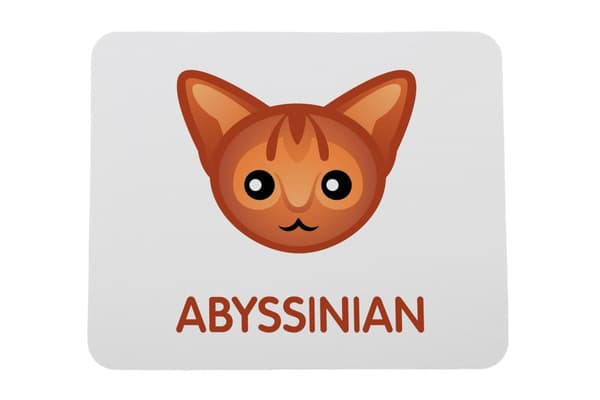 Abessinian - hiirimatto Art-Dogilta