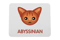 Pikkukuva 1 / 5: Abessinian - hiirimatto Art-Dogilta
