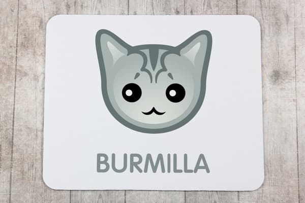 Burmilla - musen vadderar av Art-Dog
