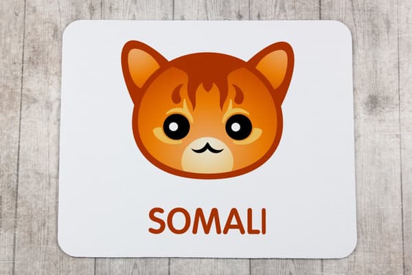 Somali - hiirimatto Art-Dogilta