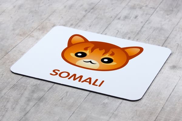 Somali - hiirimatto Art-Dogilta