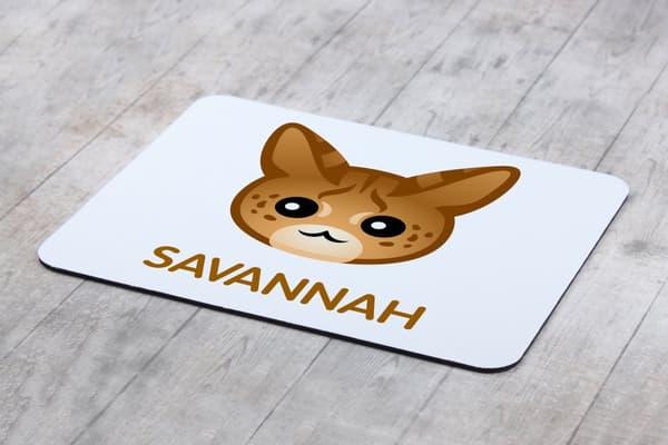Savannah - musen vadderar vid Art-Dog