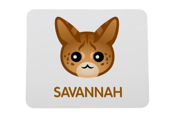 Savannah - musen vadderar vid Art-Dog