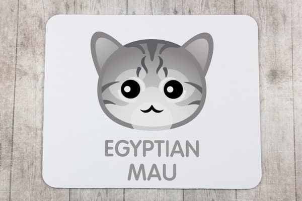 Egyptisk Mau-katt - mus vadderar vid Art-Dog