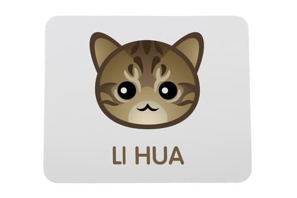 Li Hua - Smok Li - Art-Dogin hiirimatto