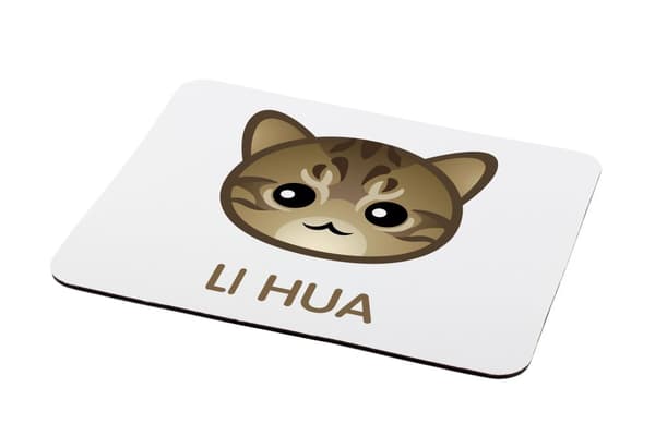 Li Hua - Smok Li - Art-Dogin hiirimatto