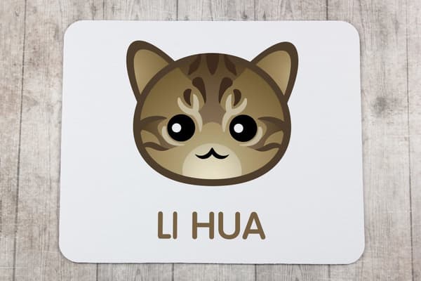 Li Hua - Smok Li - Art-Dogin hiirimatto