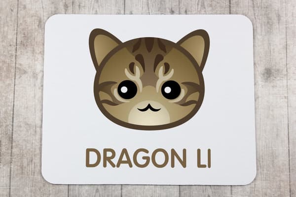 Li Hua - Smok Li - Art-Dogin hiirimatto