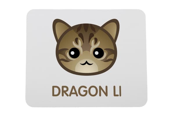 Li Hua - Smok Li - Art-Dogin hiirimatto