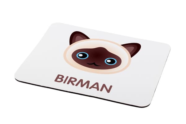 Birman - musmatta av Art-Dog