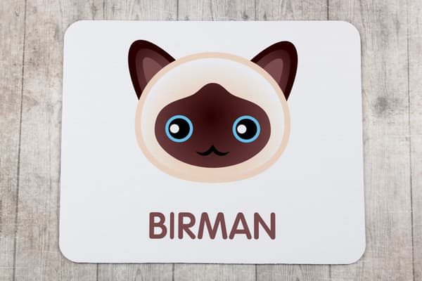 Birman - musmatta av Art-Dog