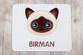 Miniatyrbild 4 av 5: Birman - musmatta av Art-Dog