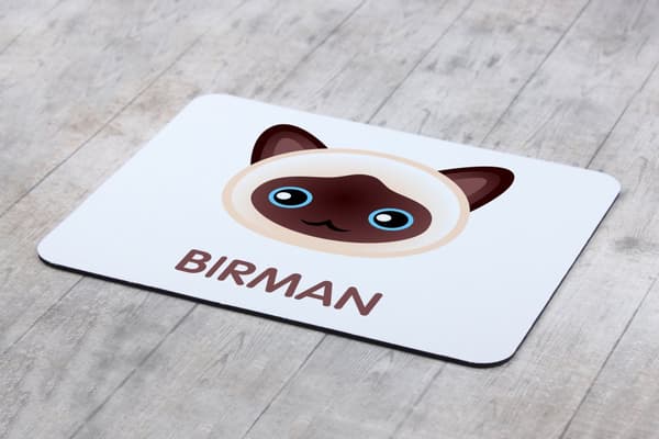 Birman - musmatta av Art-Dog
