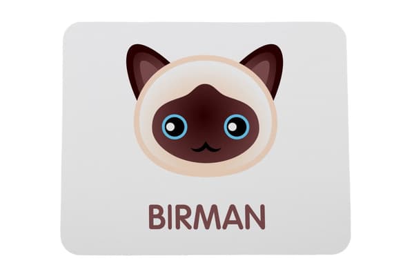 Birman - musmatta av Art-Dog