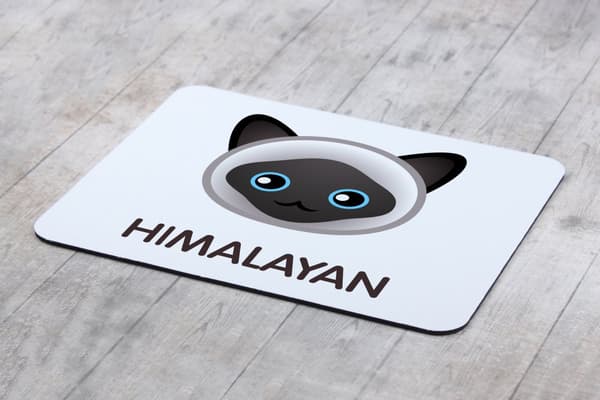 Himalayan mus vadderar vid Art-Dog