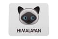 Miniatyrbild 1 av 5: Himalayan mus vadderar vid Art-Dog