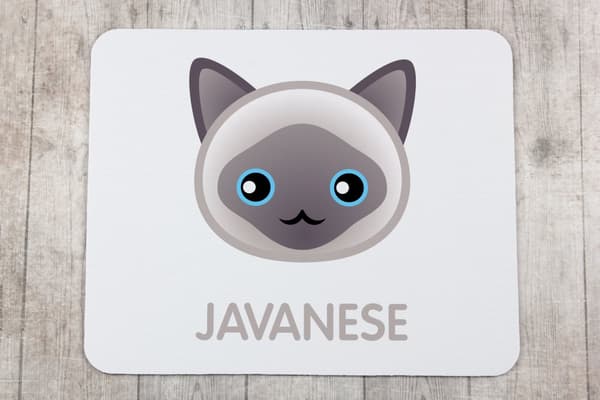 Art-Dogin jaavalainen hiirimatto