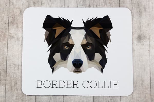 Border Collie - en geometrisk pude med et foto og en inskription til Art-Dog-musen