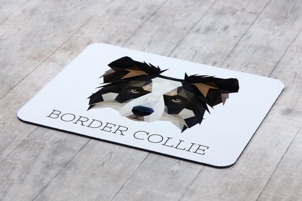 Border Collie - en geometrisk pude med et foto og en inskription til Art-Dog-musen