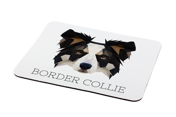 Border Collie - en geometrisk pude med et foto og en inskription til Art-Dog-musen