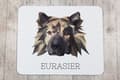 Pikkukuva 3 / 4: Eurasier, Eurasian - geometrinen alusta, jossa on valokuva ja merkintä Art-Dog-hiirelle