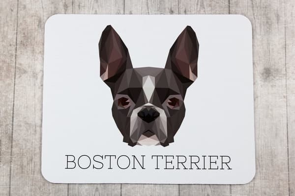Boston Terrier, Boston Bull Terrier - en geometrisk dyna med ett foto och en inskription för Art-Dog-musen