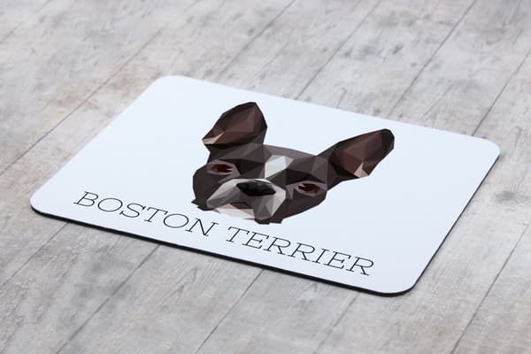 Boston Terrier, Boston Bull Terrier - en geometrisk dyna med ett foto och en inskription för Art-Dog-musen