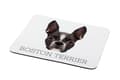 Miniatyrbild 2 av 4: Boston Terrier, Boston Bull Terrier - en geometrisk dyna med ett foto och en inskription för Art-Dog-musen
