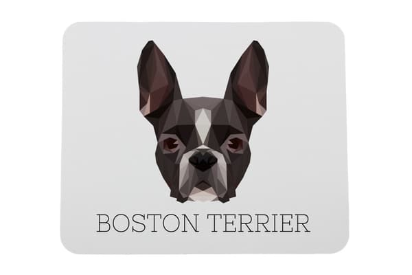 Boston Terrier, Boston Bull Terrier - en geometrisk dyna med ett foto och en inskription för Art-Dog-musen