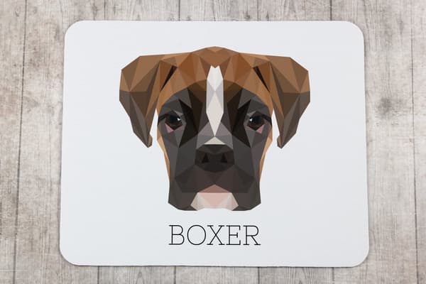 Boxer, Boxer III - en geometrisk dyna med ett foto och en inskription för Art-Dog-musen