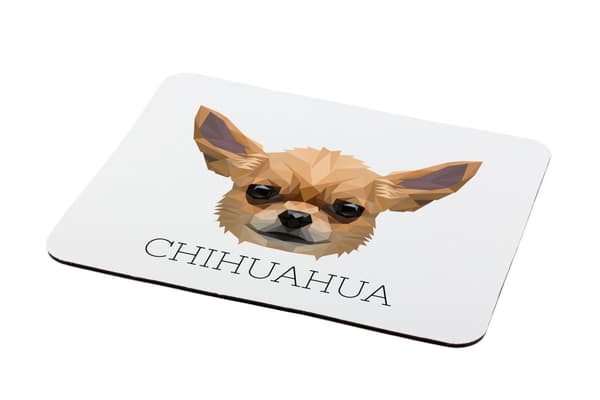 Korthåret Chihuahua - geometrisk pude med foto og inskription til Art-Dog-musen