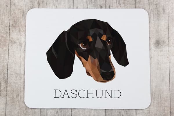 Korthårig tax - geometrisk dyna med foto och inskription för Art-Dog-musen
