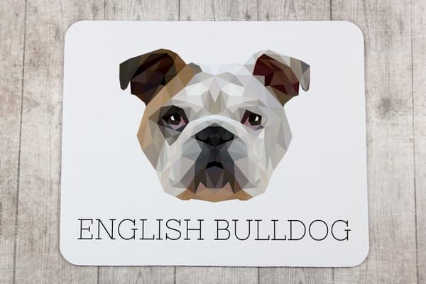 Engelsk Bulldog, Bulldog - en geometrisk dyna med ett foto och en inskription för Art-Dog-musen