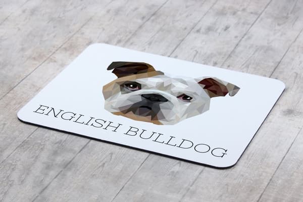Engelsk Bulldog, Bulldog - en geometrisk dyna med ett foto och en inskription för Art-Dog-musen