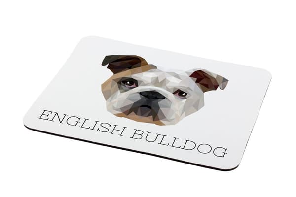 Engelsk Bulldog, Bulldog - en geometrisk dyna med ett foto och en inskription för Art-Dog-musen