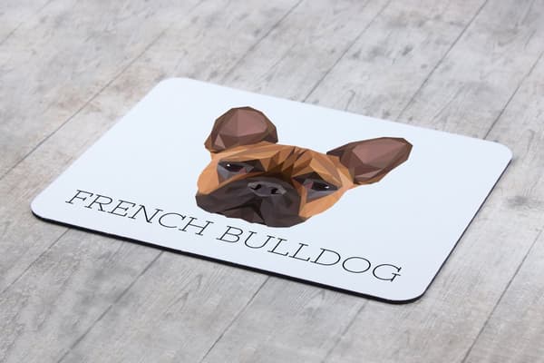 Fransk bulldog - geometrisk pude med foto og inskription til Art-Dog musen