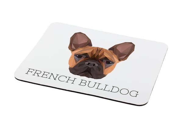 Fransk bulldog - geometrisk pude med foto og inskription til Art-Dog musen