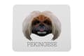 Pikkukuva 1 / 4: Pekingese - geometrinen alusta, jossa on valokuva ja kirjoitus Art-Dog-hiirelle